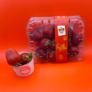 Pote frutillas frescas 300 gr.