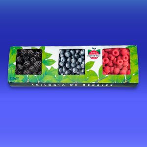 Pack degustación de berries frescos  265 gr.