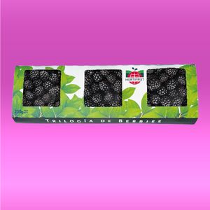 Pack moras frescas 210 gr.